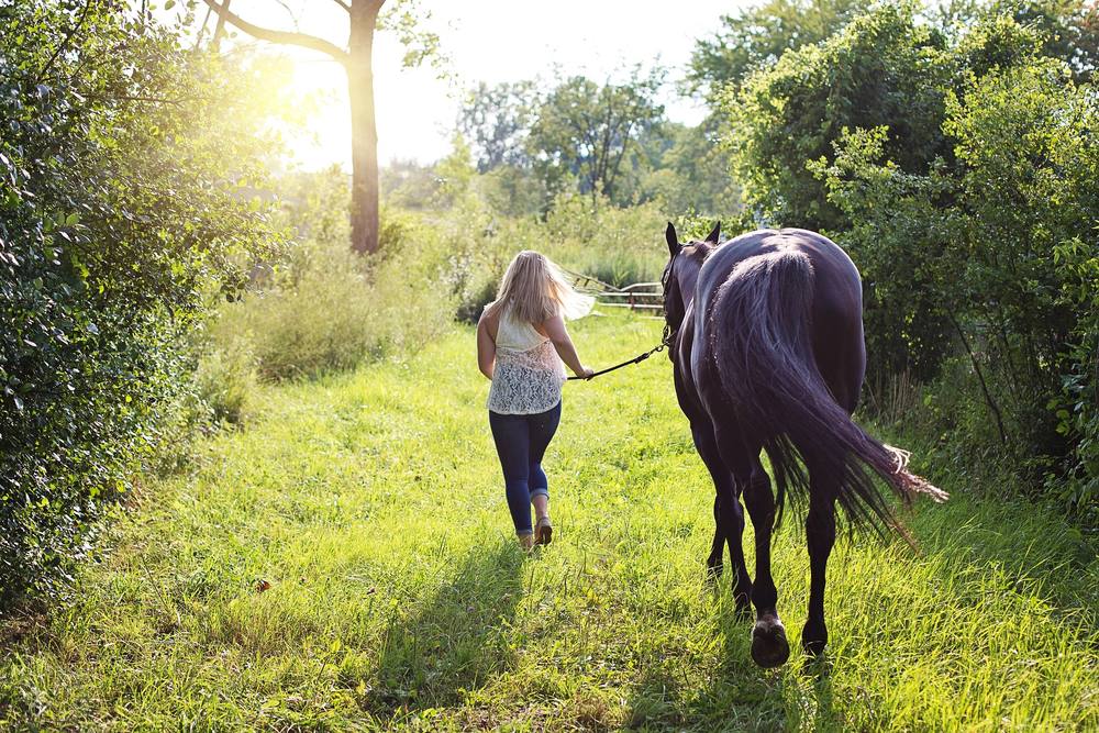 Frau führt ein Pferd über eine Wiese im Abendlicht