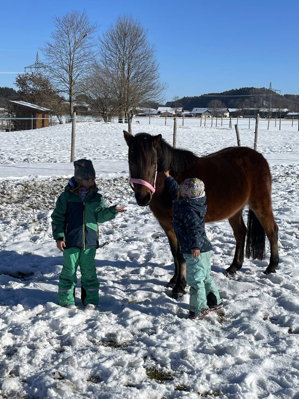 Zwei Kinder bei einem Pony auf der verschneiten Koppel